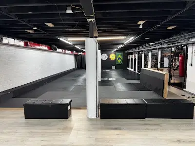 Alchemy Brazilian Jiu-Jitsu BJJ Academy - photo 2