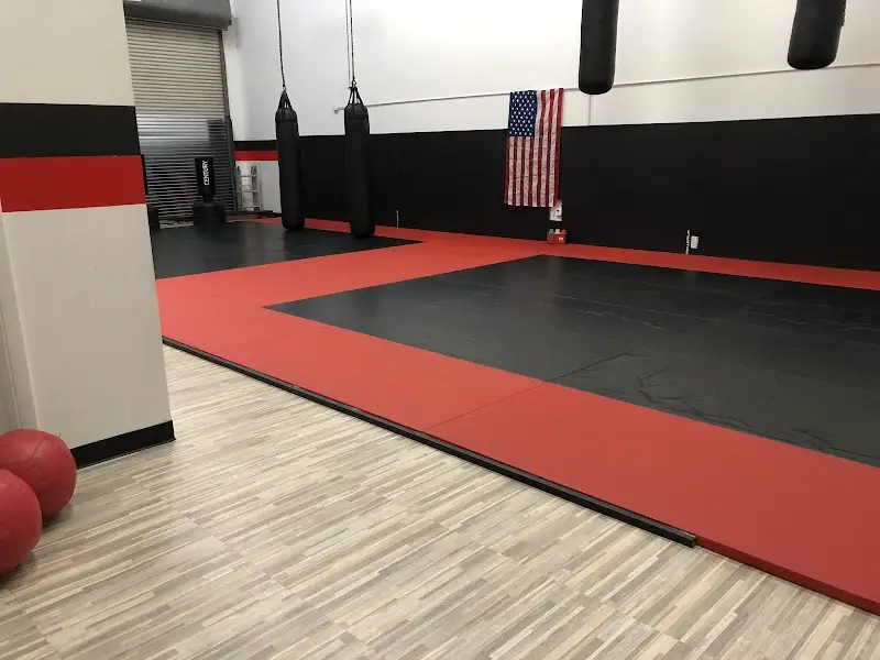 Alers Martial Arts BJJ Academy - photo 1