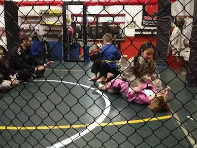 Alex Wilkie's Martial Arts Academy BJJ Academy - photo 1