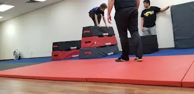 Alexandria Martial Arts & Movement BJJ Academy - photo 3