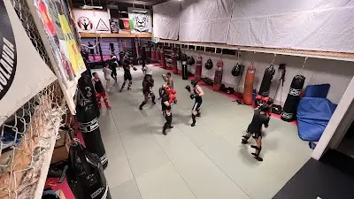 Ali Combat Club