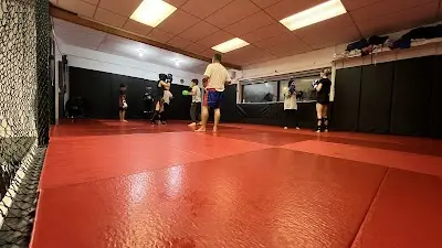 Ali Combat Club BJJ Academy - photo 1