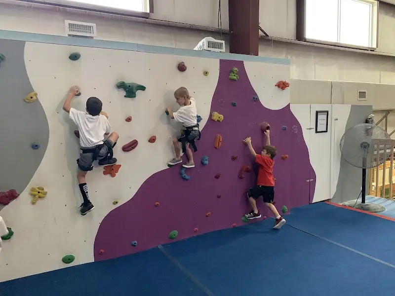 Alicea's Martial Arts Studios BJJ Academy - photo 1
