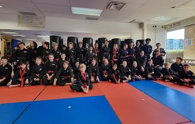 Align Martial Arts Taekwondo Kickboxing Jiu Jitsu Self Defense Fitness Confidence Focus Designation Spectrum Friendly ages 3+ BJJ Academy - photo 3