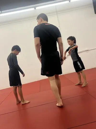 Alive Jiu Jitsu BJJ Academy - photo 2