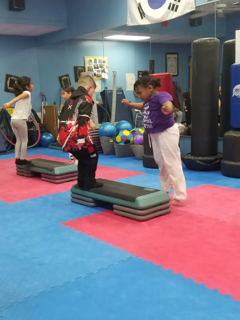 All Island Martial Arts BJJ Academy - photo 2