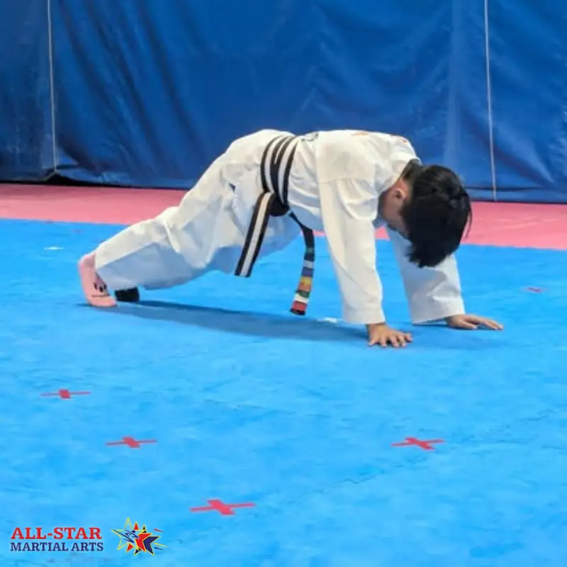 All-Star Martial Arts BJJ Academy - photo 2