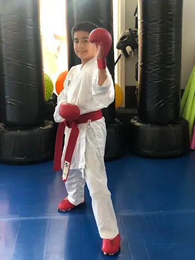 All Star Martial Arts BJJ Academy - photo 1