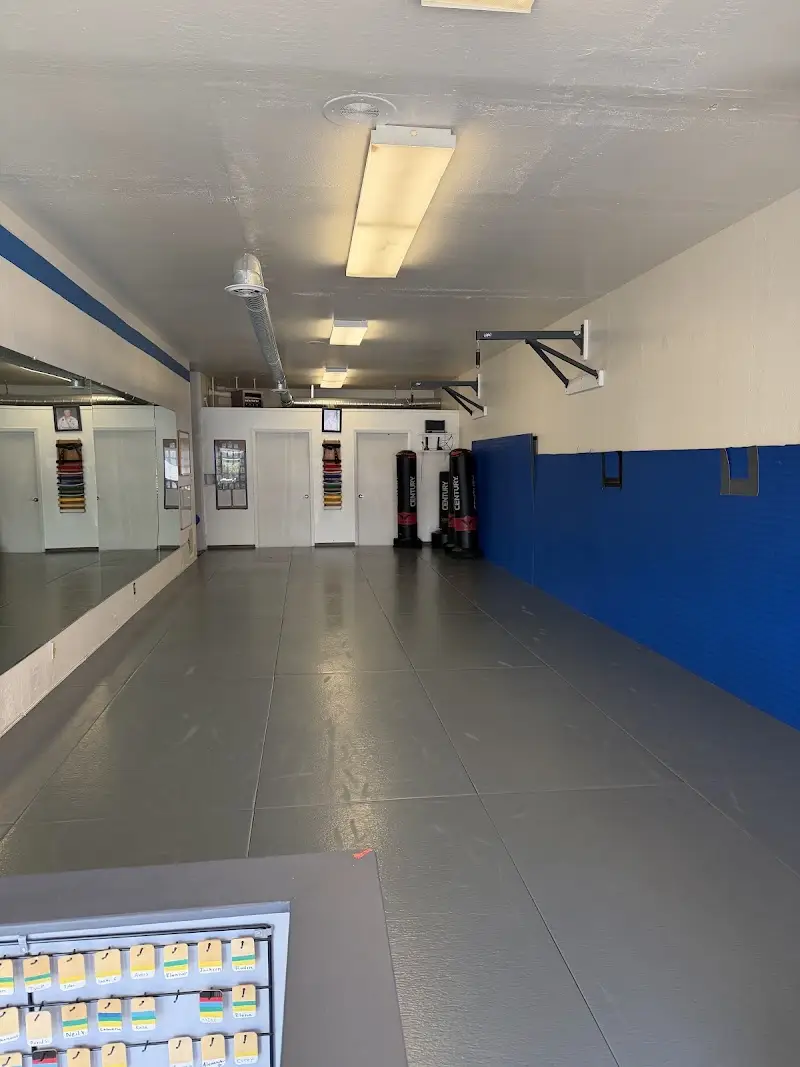 All Stars Martial Arts BJJ Academy - photo 1