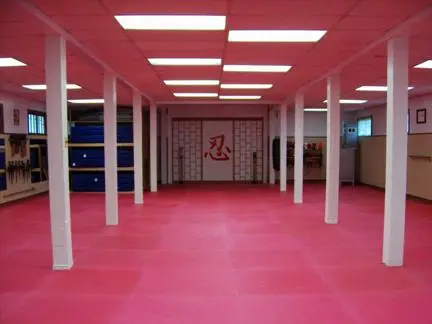 Allegheny County Martial Arts Center BJJ Academy - photo 1
