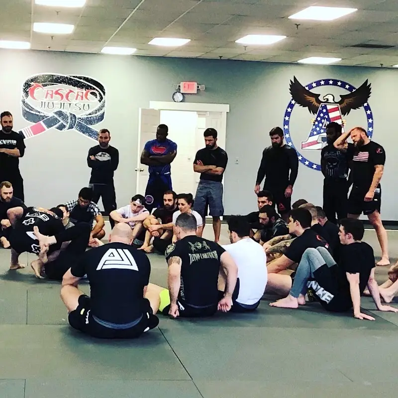 Allegiance Jiu Jitsu BJJ Academy - photo 1