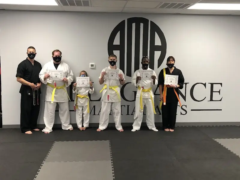 Allegiance Martial Arts BJJ Academy - photo 1