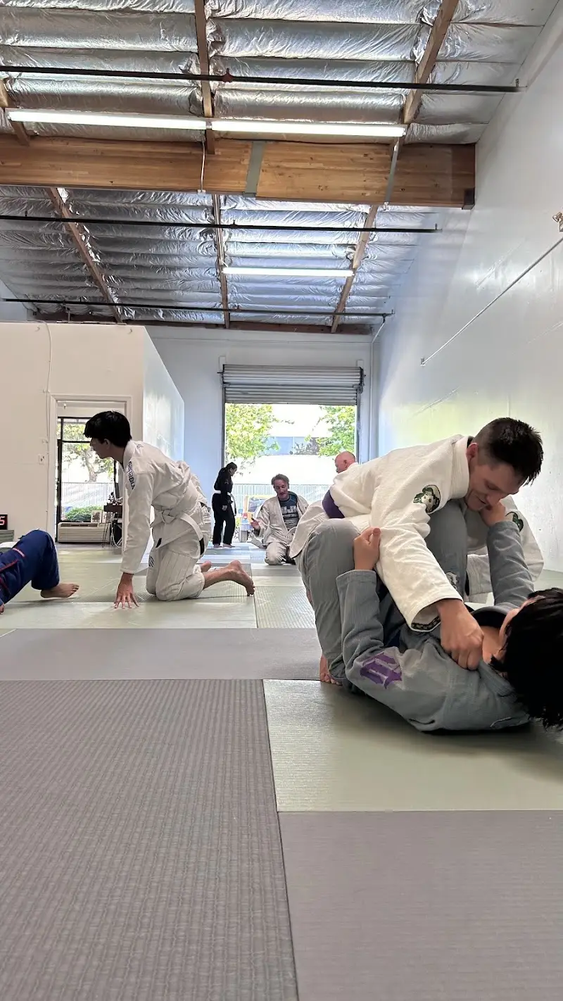 ALLGROUND Jiu Jitsu BJJ Academy - photo 1