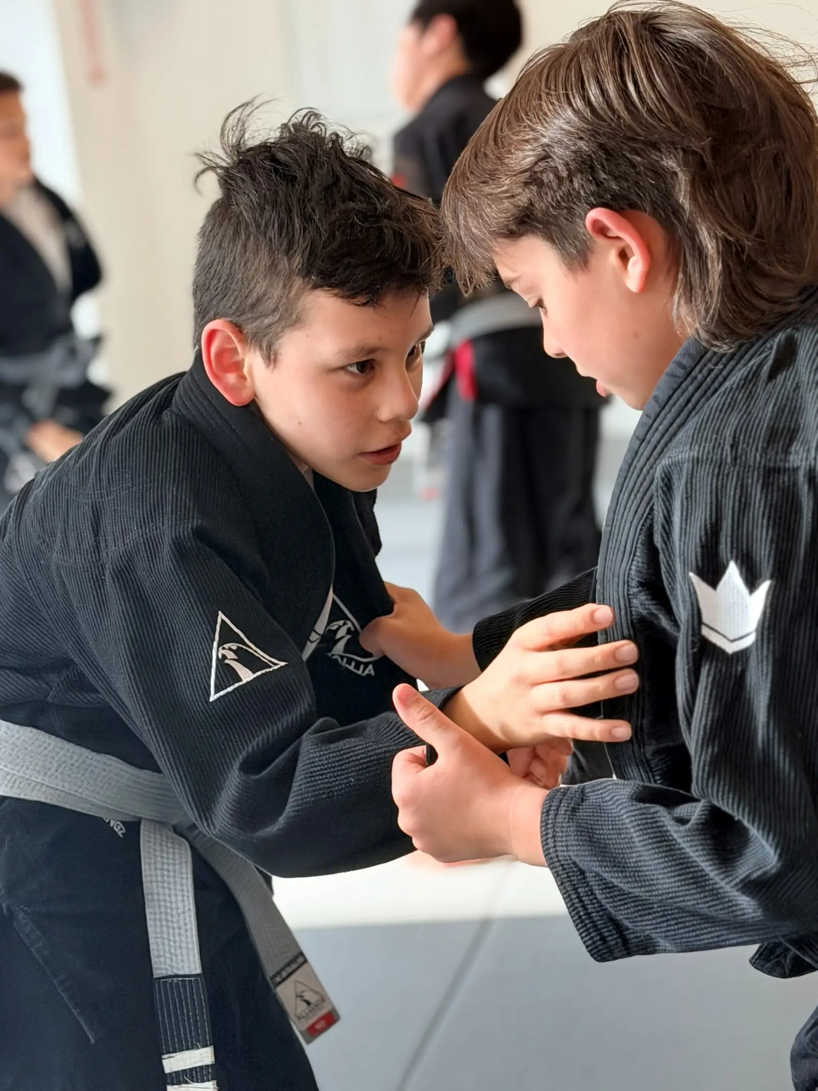 Alliance BJJ Lacey
