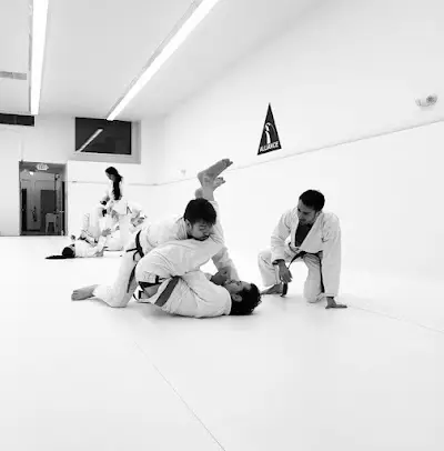 Alliance Jiu-Jitsu Framingham BJJ Academy - photo 2