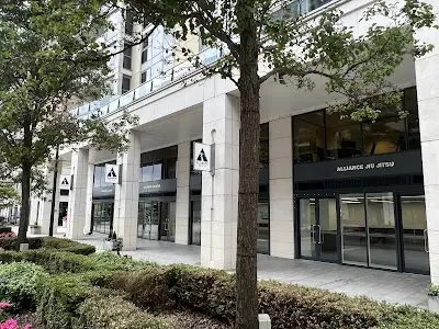 Alliance Jiu Jitsu London BJJ Academy - photo 4