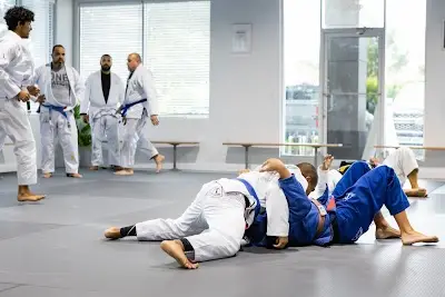 ALLIANCE JIU JITSU MARTIAL ARTS