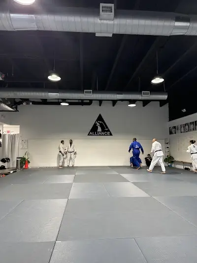 ALLIANCE JIU JITSU MARTIAL ARTS BJJ Academy - photo 4