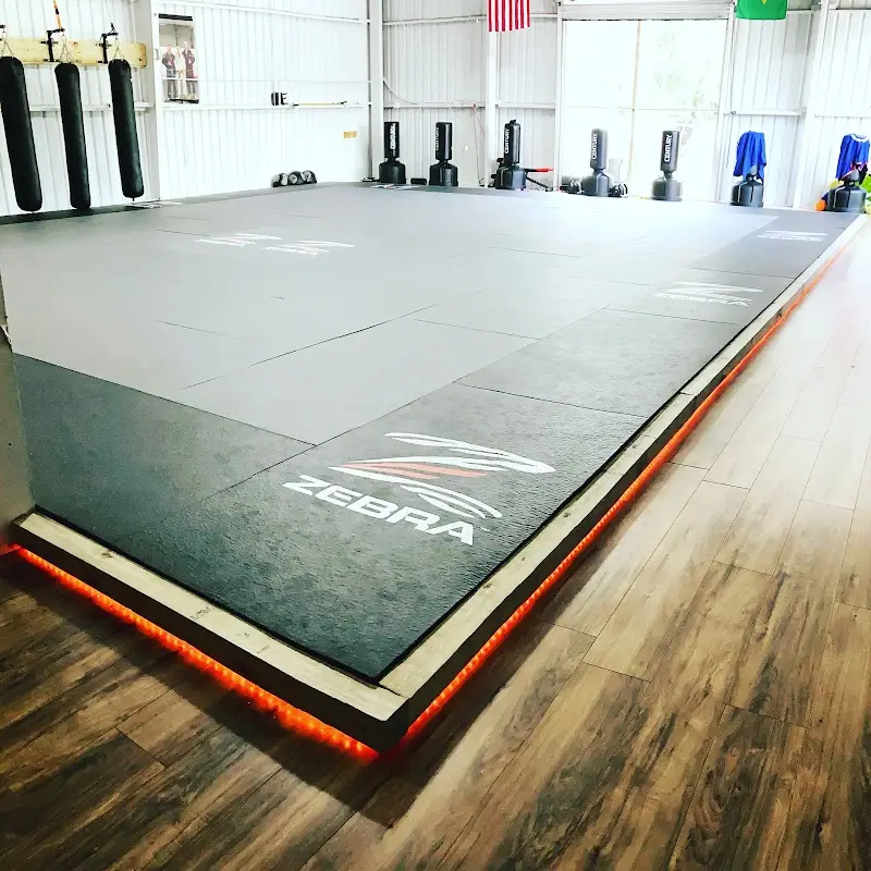 Alliance Jiu-Jitsu Panama City BJJ Academy - photo 1