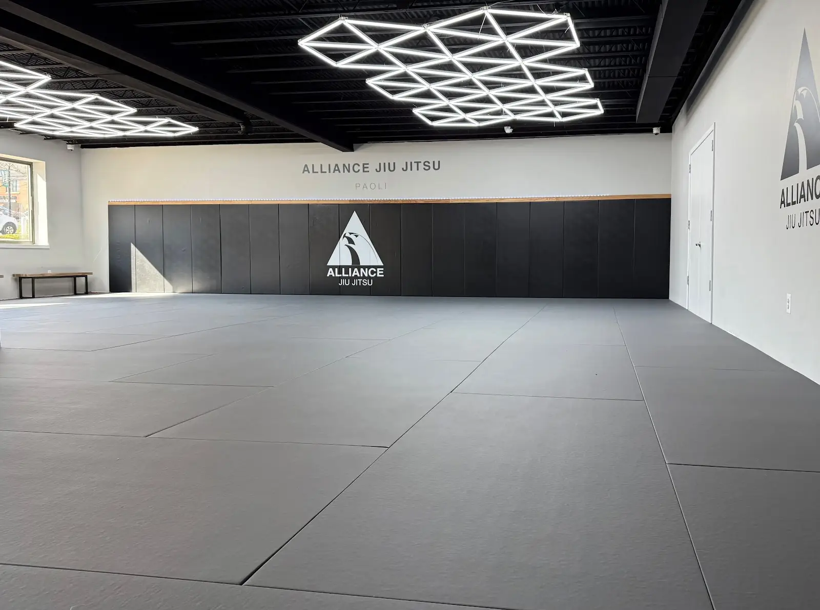 Alliance Jiu Jitsu Paoli