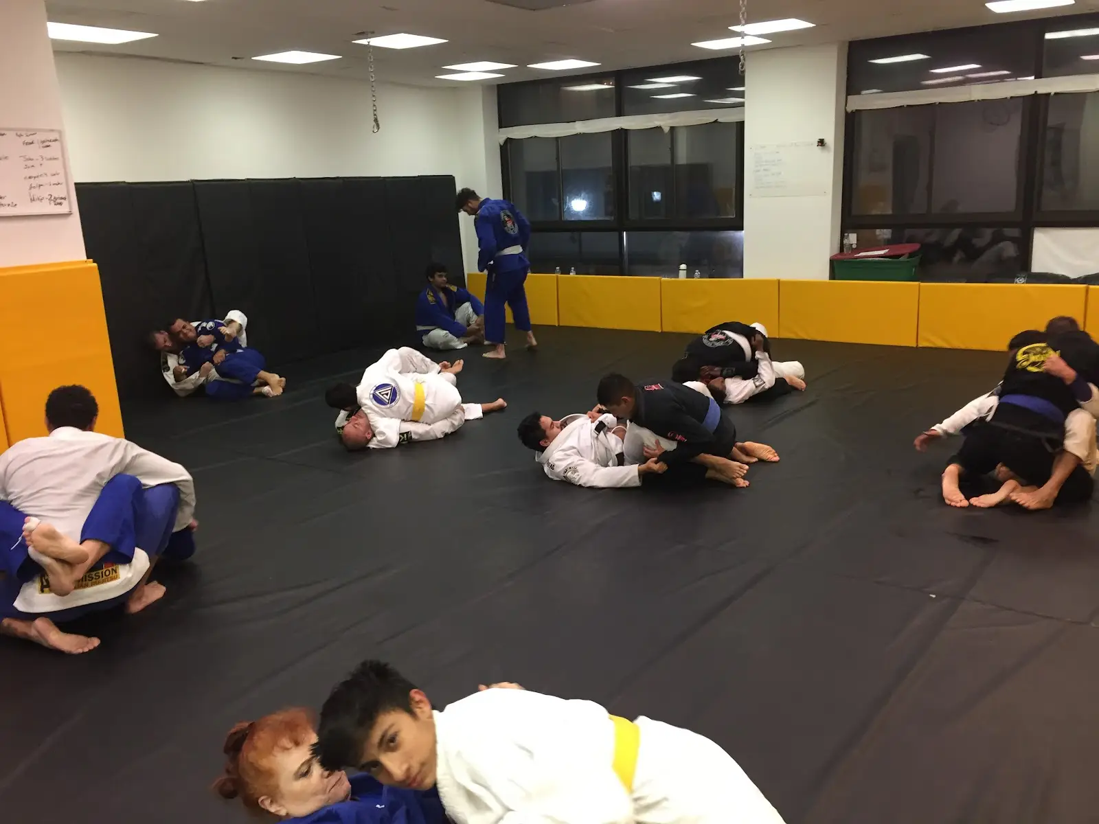 Alliance Jiu Jitsu Port Chester