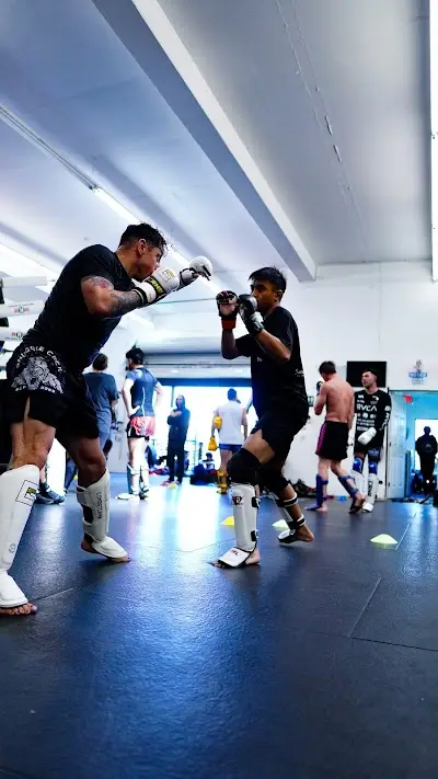 Allied MMA