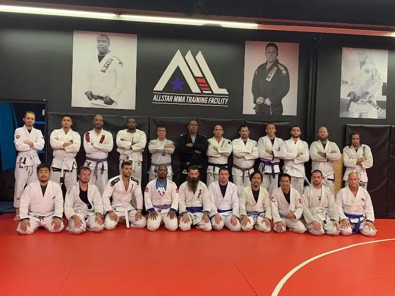 AllStar Martial Arts BJJ Academy - photo 2