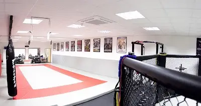 Allstars MMA Academy BJJ Academy - photo 1