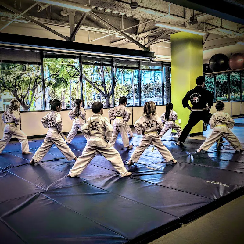 Alonzo Martial Arts BJJ Academy - photo 2