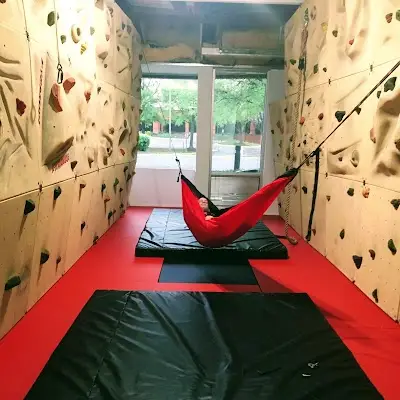 Alpha Brazilian Jiu Jitsu BJJ Academy - photo 3