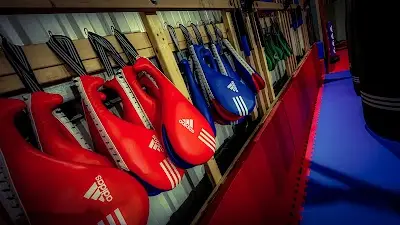 Alpha Gym - Brazilian Jiu Jitsu - Submission Grappling BJJ Academy - photo 1
