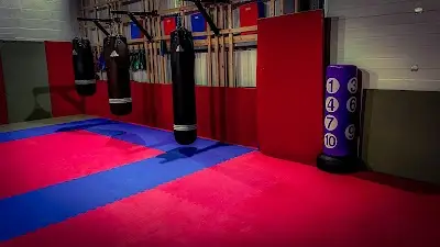 Alpha Gym - Brazilian Jiu Jitsu - Submission Grappling BJJ Academy - photo 2