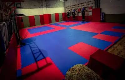 Alpha Gym - Brazilian Jiu Jitsu - Submission Grappling BJJ Academy - photo 4