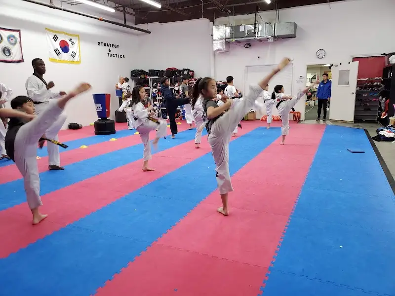 Alpha Martial Arts Academy