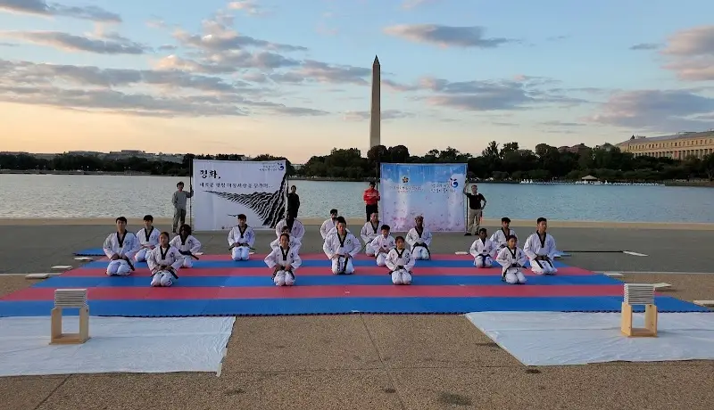 Alpha Martial Arts Academy BJJ Academy - photo 1