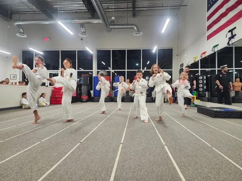 Alpha Martial Arts Academy