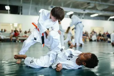 Alpha Martial Arts Academy BJJ Academy - photo 3