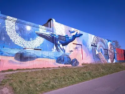 Alpha Martial Arts LLC