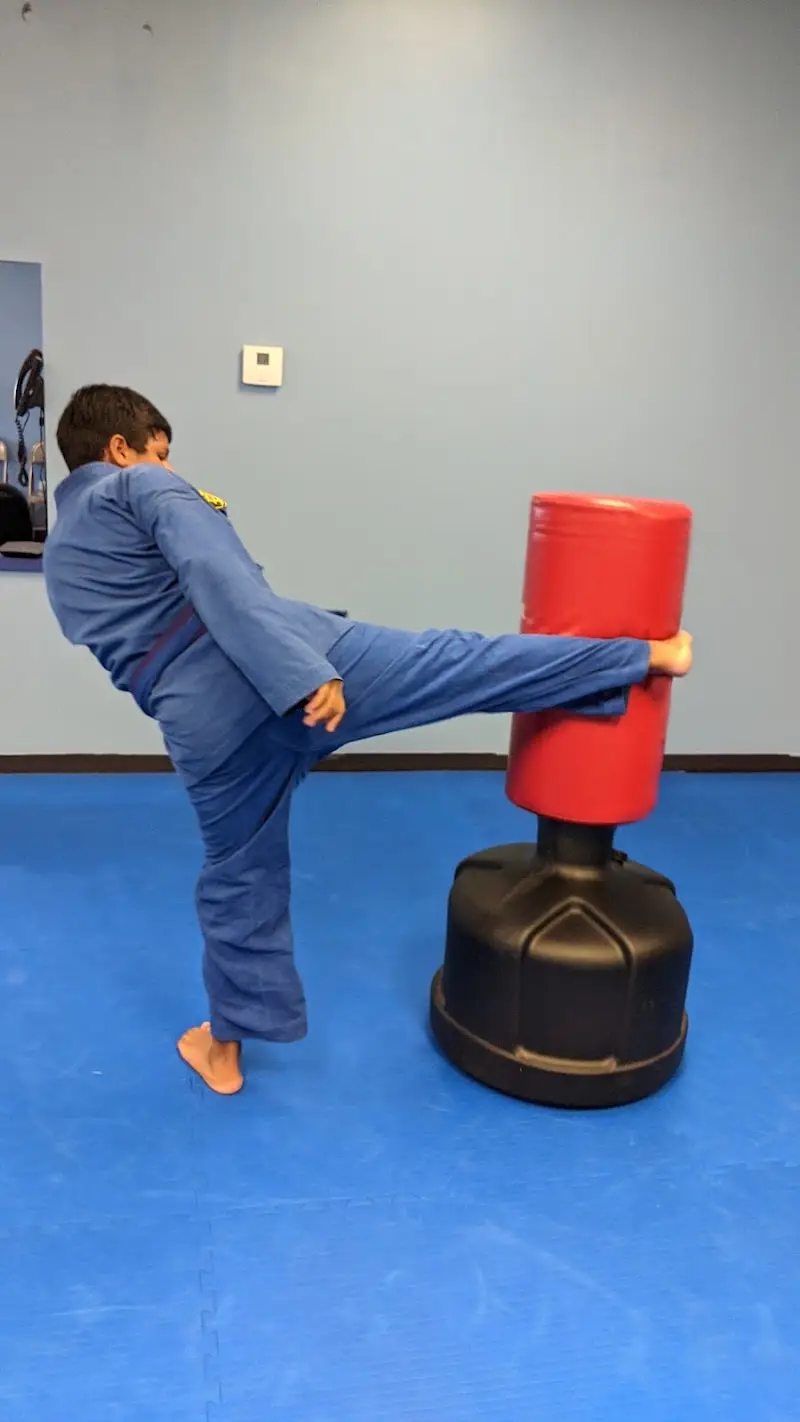 Alpha Omega Martial Arts BJJ Academy - photo 1