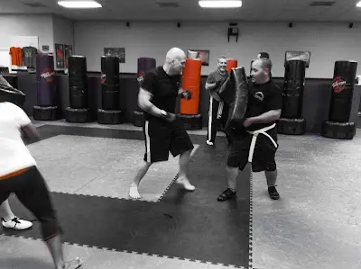 Alpha Team Self Defense and Martial Arts BJJ Academy - photo 2