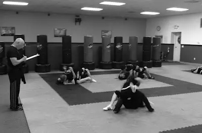 Alpha Team Self Defense and Martial Arts BJJ Academy - photo 3