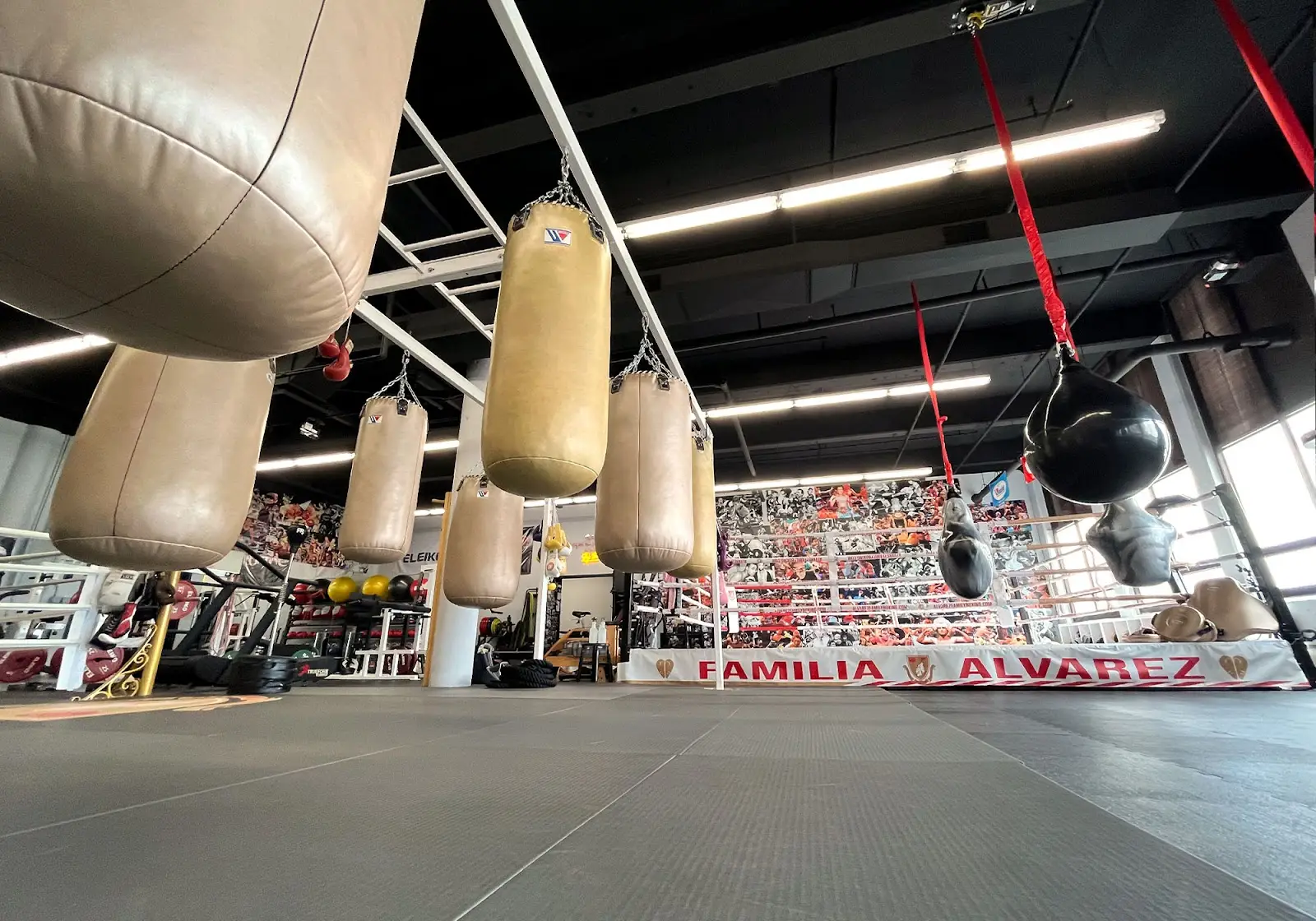 Alvarez Family Boxing BJJ Academy - photo 2