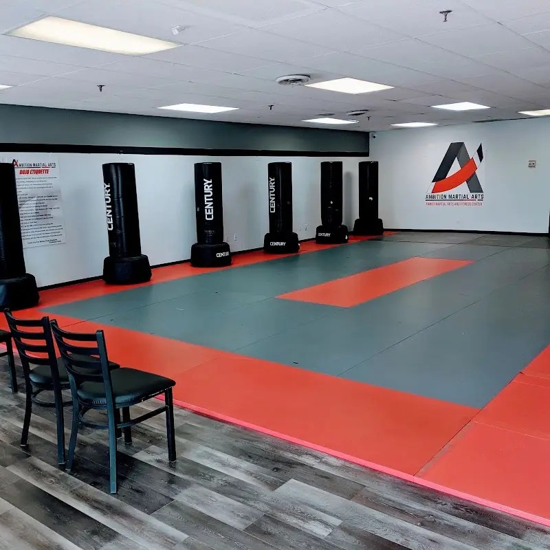 Ambition Martial Arts