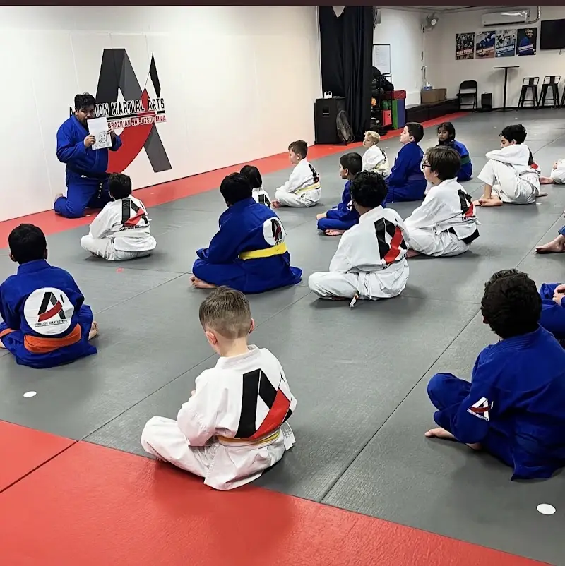 Ambition Martial Arts BJJ Academy - photo 1