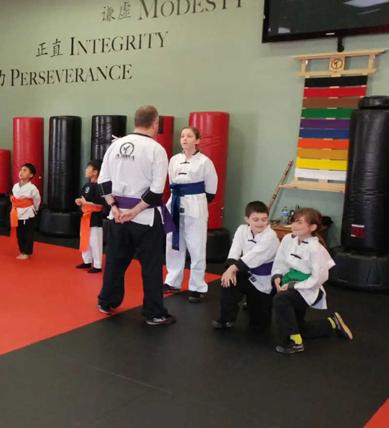 American Academies of Martial Arts BJJ Academy - photo 1
