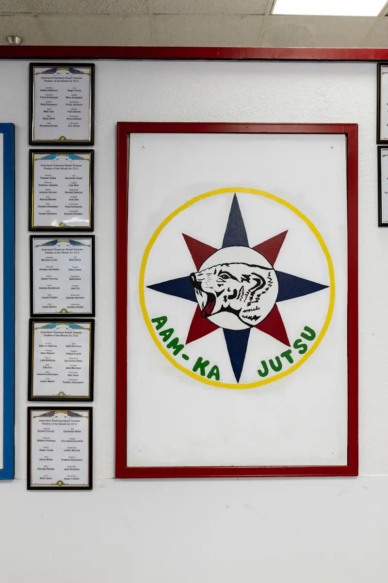American Academy of Martial Arts BJJ Academy - photo 1