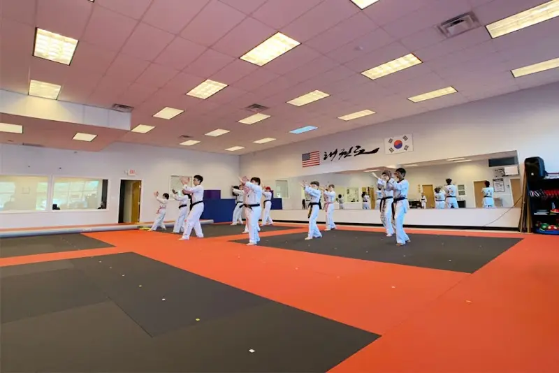 American Black Belt Academy Peachtree City