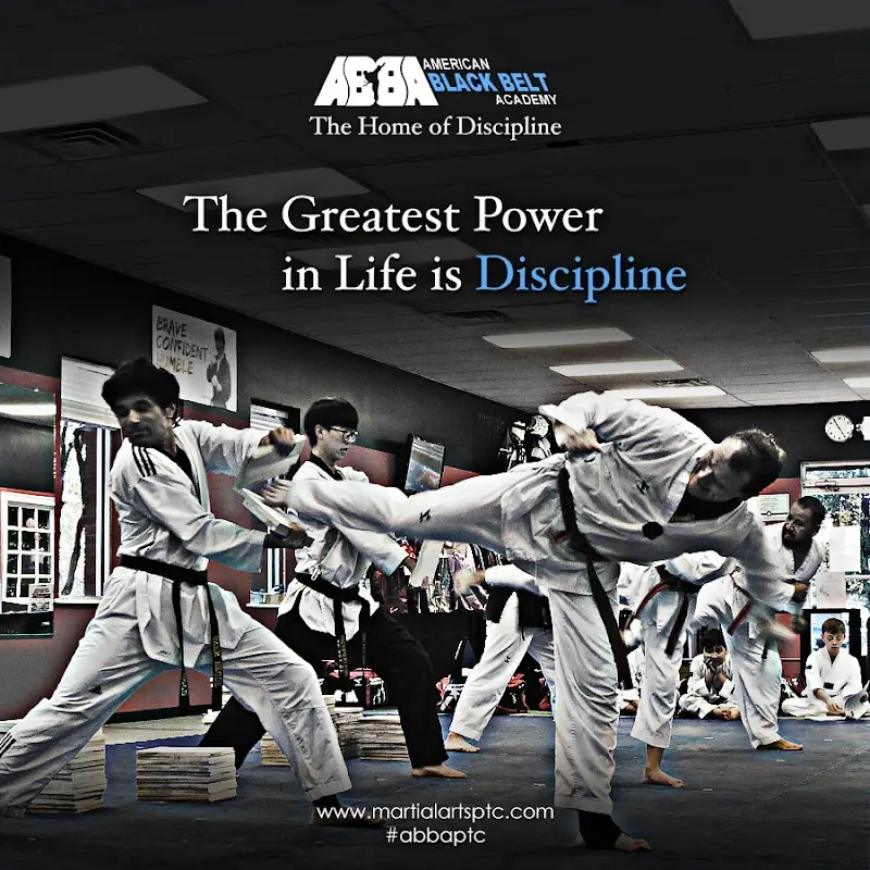 American Black Belt Academy Peachtree City BJJ Academy - photo 1