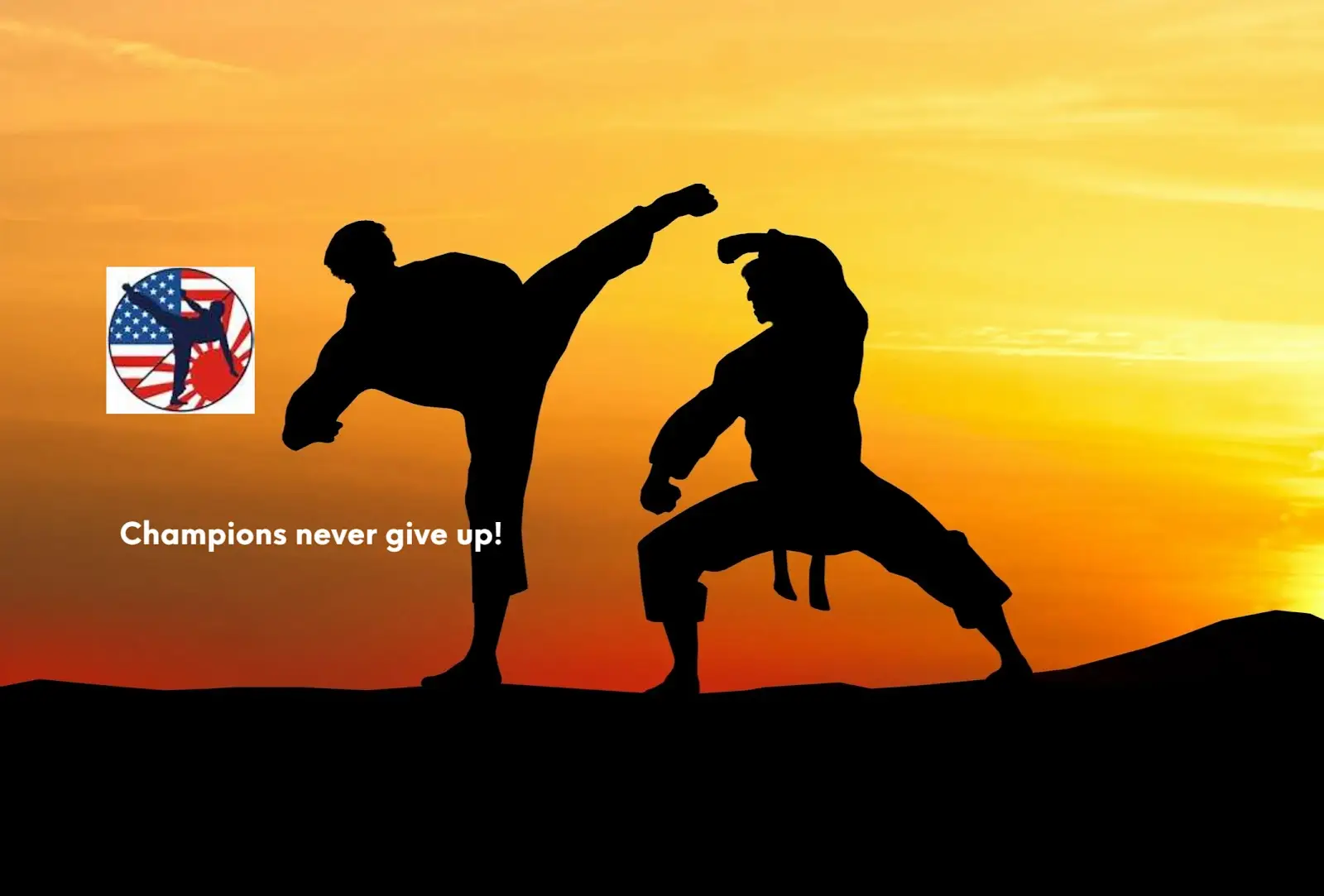 American Blackbelt Martial Arts BJJ Academy - photo 2