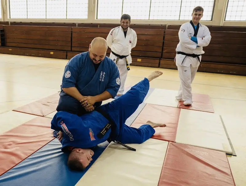American Dragon Martial Arts Academy BJJ Academy - photo 1